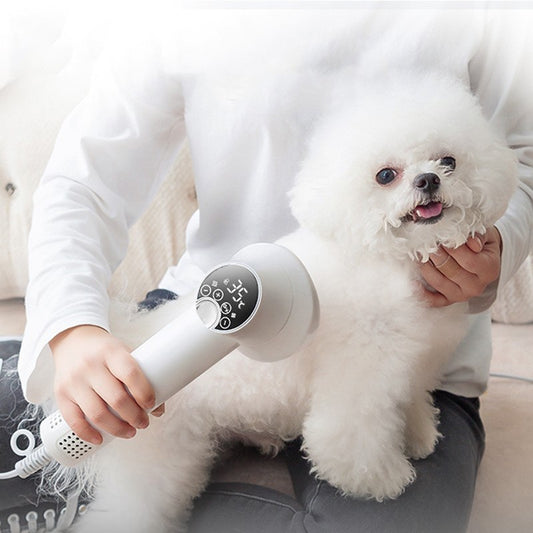 Professional Pet Hairdressing with Smart Hair Dryer for Dogs and Cats