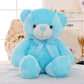 Blue Coloor Teddy Bear 