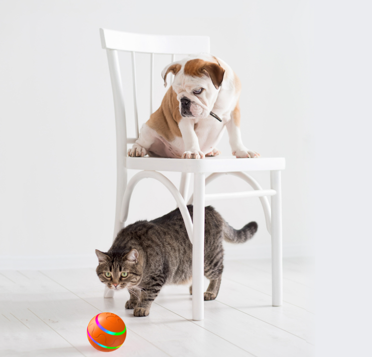 USB-Powered Intelligent Ball Toy: Perfect Entertainment for Cats